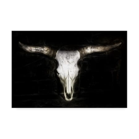 Phburchett 'Cow Skull' Canvas Art,16x24